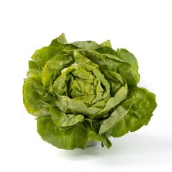 Le selezioni P&V Lattuga trocadero prezzemolo e vitale