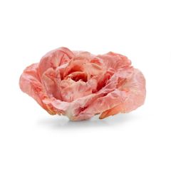 Le selezioni P&V Pink radish